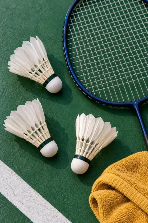 Petecas de badminton em uma quadra verde