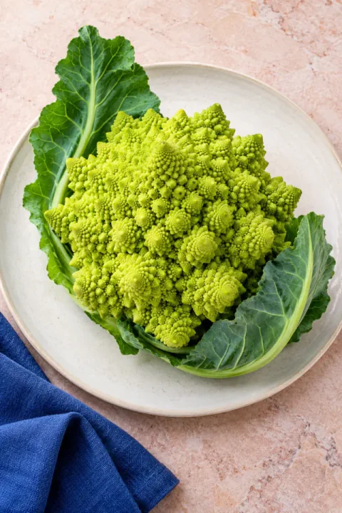 Romanesco sa Cream na Keramika