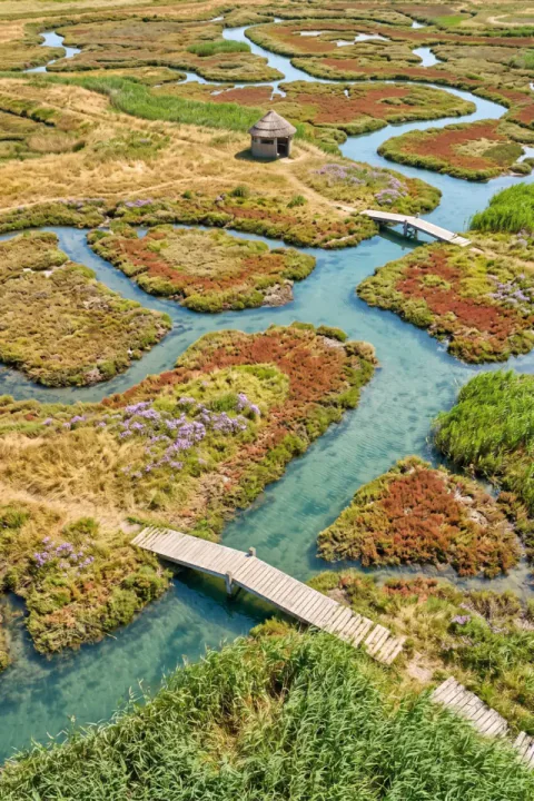 绿松石色盐沼水道